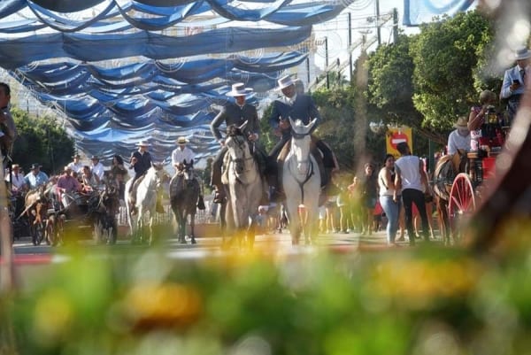 Imágenes de la Feria de Málaga Imágenes de la Feria de Málaga